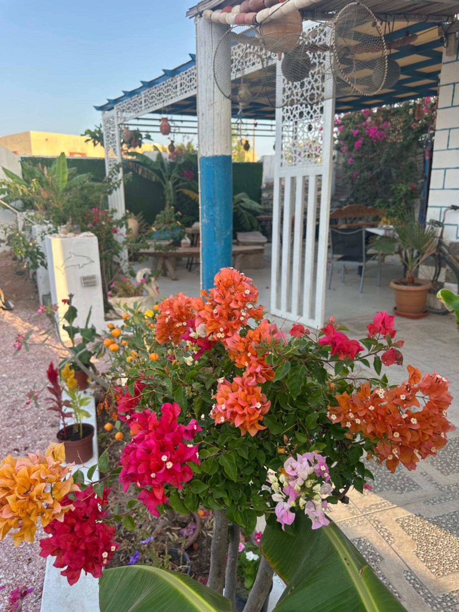 Salem Fish Guest House Ras al Hadd Bagian luar foto
